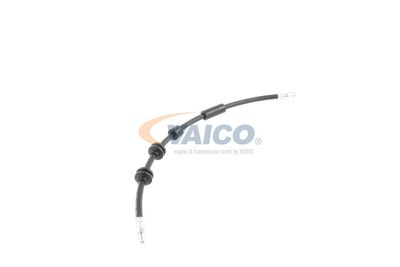 FURTUN FRANA VAICO V202640 43