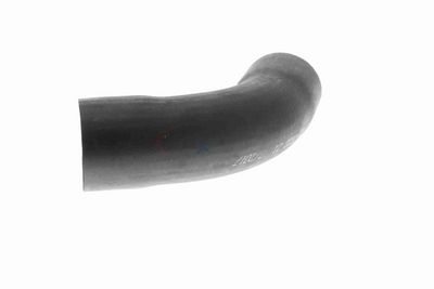 FURTUN EAR SUPRAALIMENTARE VAICO V201622 4