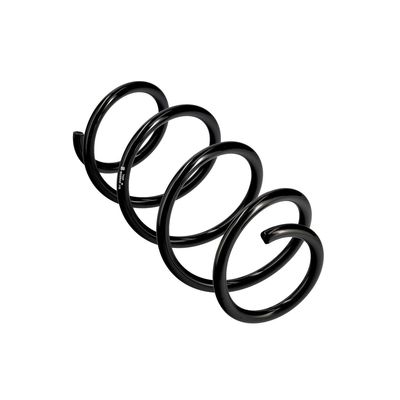 ARC SPIRAL EIBACH R22935 11