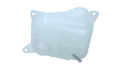 VAS DE EXPANSIUNE RACIRE