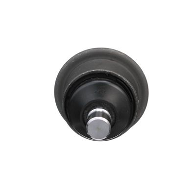 Kogelgewricht, achter Links/Rechts (buitenkant/top achter) (54mm)