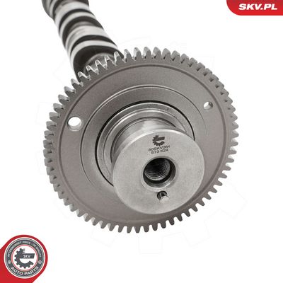 Nokka-akseli ESEN SKV 80SKV064 – MAZDA