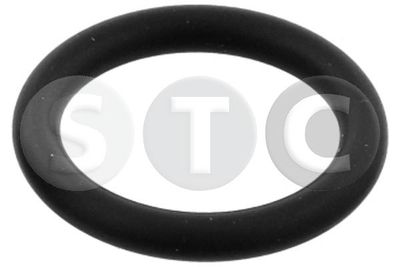 GARNITURA CONDUCTA LICHID DE RACIRE STC T402110