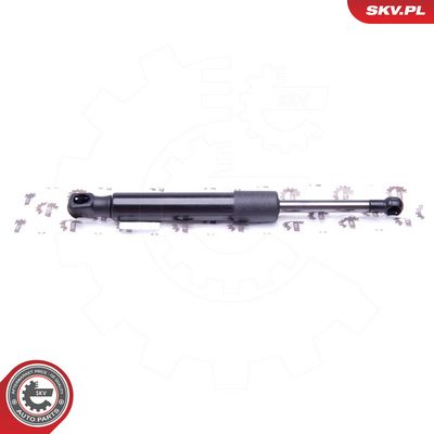 Dujinė spyruoklė, gaubtas