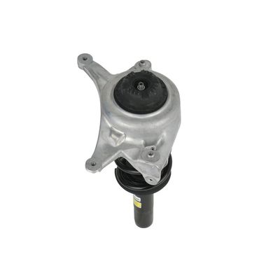 AMORTIZOR Arnott SK3842 59