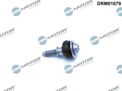 SURUB CAPAC SUPAPE Dr.Motor Automotive DRM01679