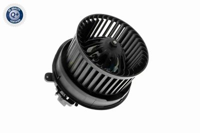 ANSAUGGEBLäSE INNENRAUMLUFT VEMO V22031834 2