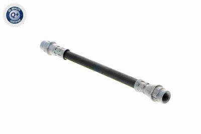 FURTUN FRANA VAICO V220625 2