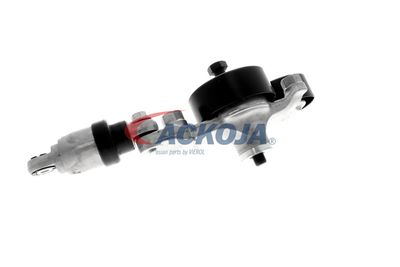 INTINZATOR CUREA CUREA DISTRIBUTIE ACKOJA A260601 31