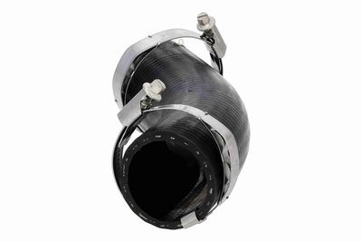 FURTUN EAR SUPRAALIMENTARE ACKOJA A520878 4