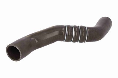 FURTUN EAR SUPRAALIMENTARE ACKOJA A380299 1