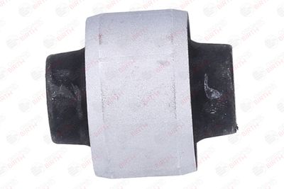 SUPORT TRAPEZ BIRTH 2012 4