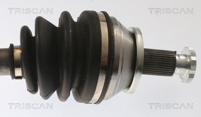 PLANETARA TRISCAN 8540295071 2
