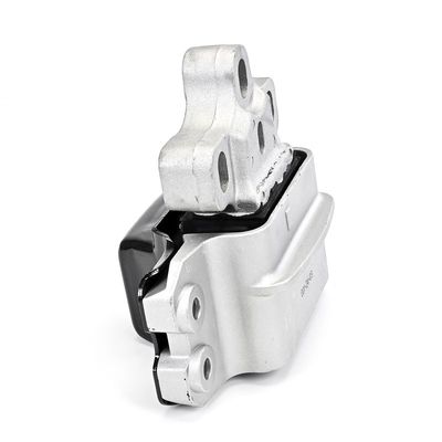 LAGERUNG MOTOR DELPHI TEM256 9