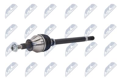 PLANETARA NTY NPWCH154 3