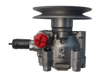 HYDRAULIKPUMPE LENKUNG SPIDAN 53902 2