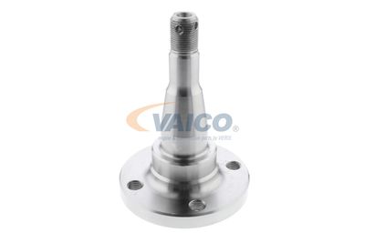 BUTUC ROATA CORP AXA VAICO V400793 31