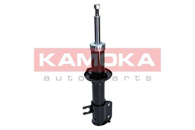 Shock Absorber 2001039