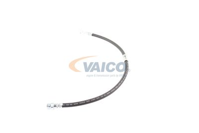FURTUN FRANA VAICO V103077 25