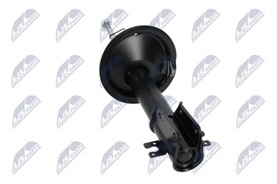 AMORTIZOR NTY ACT009 14