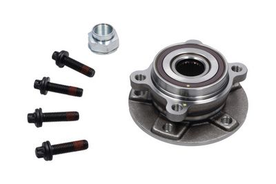 Kavo Parts Rato guolio komplektas