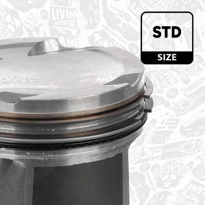 PISTON ET ENGINETEAM PM017300 2
