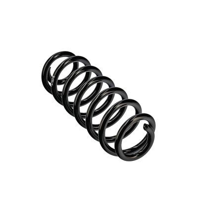 ARC SPIRAL EIBACH R13607 11