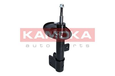 Shock Absorber 2000151