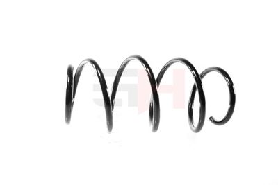 ARC SPIRAL GH GH209965 7