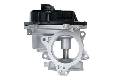 EGR Valve 700448