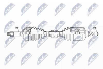 NPW-NS-168