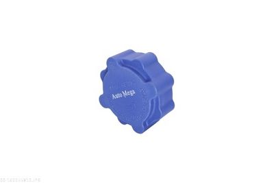 BUSON VAS EXPANSIUNE