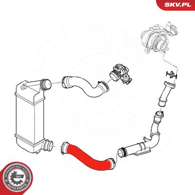 Kompresoriaus padavimo žarna