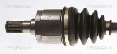 PLANETARA TRISCAN 854043522 1