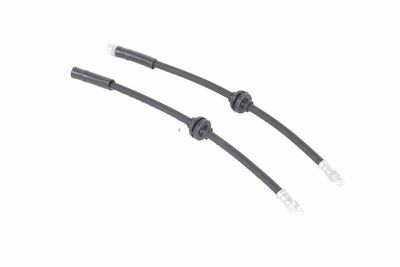 FURTUN FRANA VAICO V240091 8