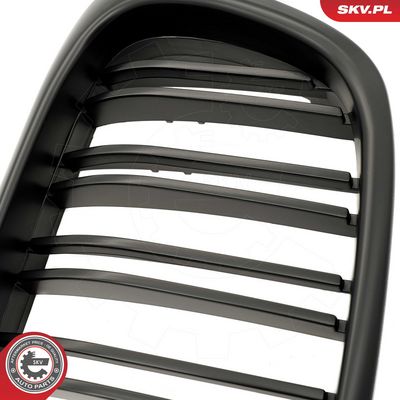 GRILA RADIATOR ESEN SKV 66SKV162 6