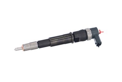INJECTOR REMANTE 002003001201R 8