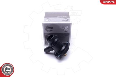 TERMOSTAT LICHID RACIRE