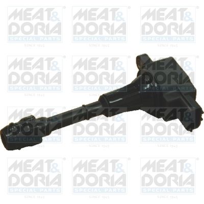 Ignition Coil 10487