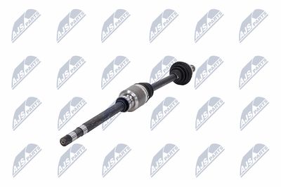 PLANETARA NTY NPWCT181 36