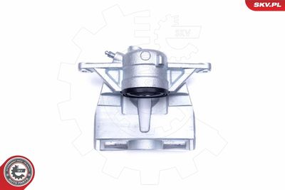 Brake Caliper 44SKV401