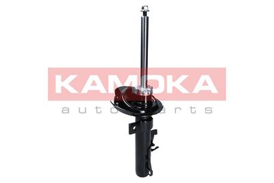 Shock Absorber 2000409