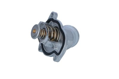 TERMOSTAT LICHID RACIRE NRF 725144 18