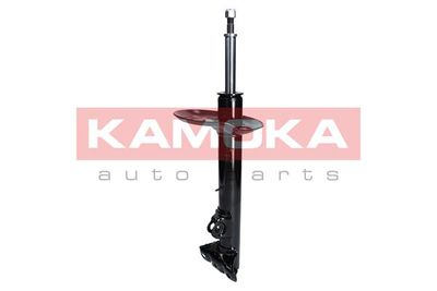 Shock Absorber 2000179