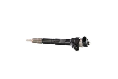 INJECTOR REMANTE 002003000034R 11