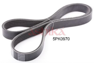 пистов ремък ASHIKA 112-5PK970