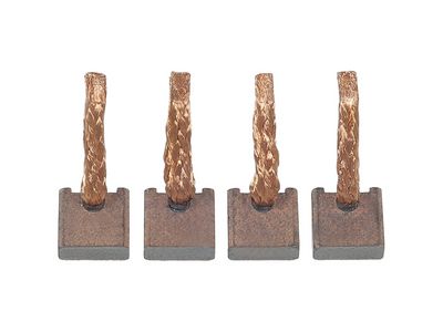 Anglies šepetėlis, starteris