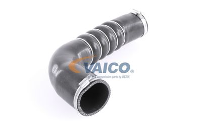 FURTUN EAR SUPRAALIMENTARE VAICO V103794 53