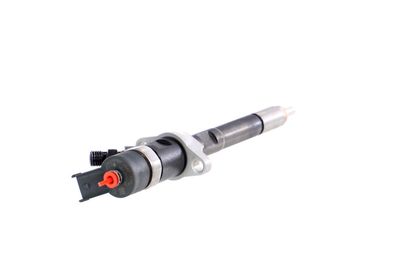 INJECTOR REMANTE 002003000027R 33