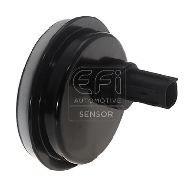 датчик, обороти на колелото EFI AUTOMOTIVE 302431